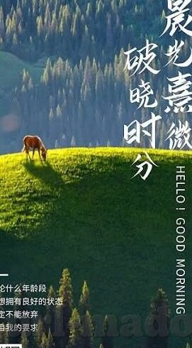 赤裸人妻撅起肥白大屁股-赤裸人妻的肥白大屁股，爱与禁忌的边缘