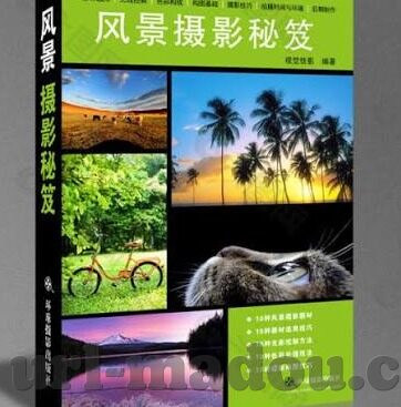 大象视频动物世界-探索大象，动物世界中的巨人