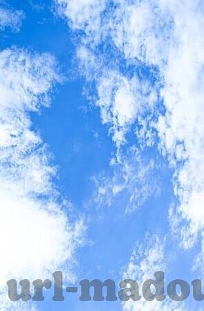 国产肥熟女视频一区二区-国产肥熟女视频一区二区，文化与道德的边界探讨