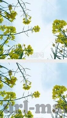 伦理电院免费观看-伦理电院，免费观影的伦理考量与现实探讨