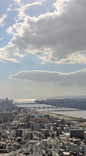 麻豆经济视频app-论麻豆经济视频App在数字时代的创变魅力，洞察内容消费新趋势