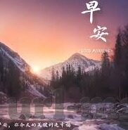 免费观看伦理片-免费观看伦理片，网络时代的道德边界与文化反思