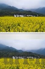 台湾麻豆传媒在线-携手文化共进 一同欣赏精彩纷呈的影视之旅