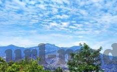 糖心app破解版iOS-警惕！远离iOS平台的糖心app破解版风险