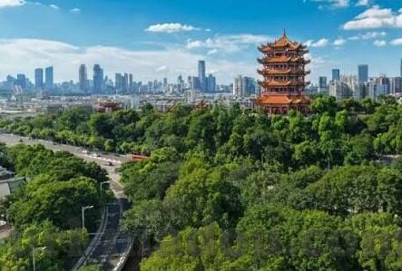 糖心vlog在线入口进入-探索糖心Vlog，重新定义在线娱乐的新篇章